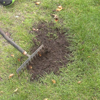 Bare flekker i plenen: Få med deg alt Bare flekker i plenen: Få med deg alt